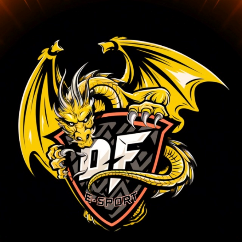 Logo DF